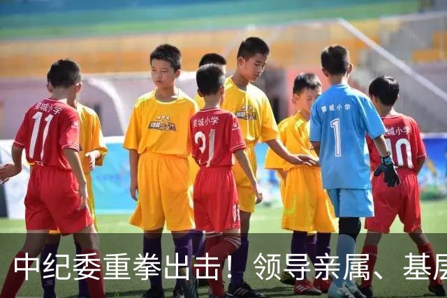 中纪委重拳出击！领导亲属、基层干部、8大领域，有一个查一个！
