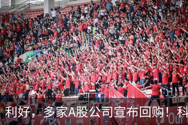 利好，多家A股公司宣布回购！科技龙头年内回购超600亿元