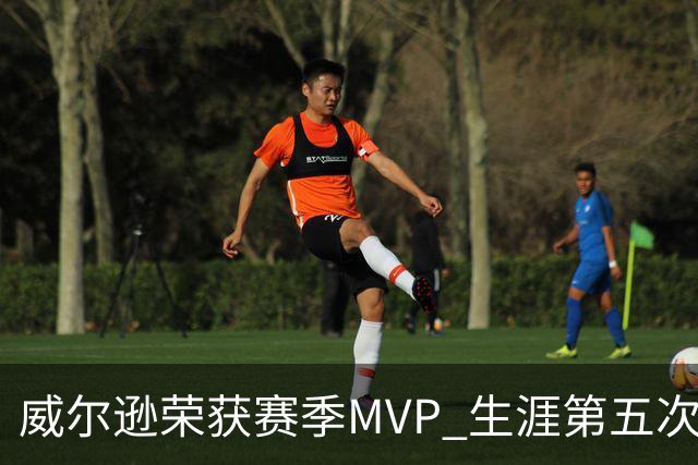 威尔逊荣获赛季MVP 生涯第五次创WNBA纪录