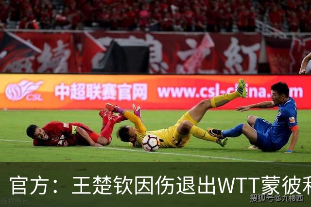 官方：王楚钦因伤退出WTT蒙彼利埃冠军赛 安宰贤递补