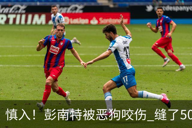 慎入！彭南特被恶狗咬伤 缝了50多针，所幸他的宠物犬英勇护主