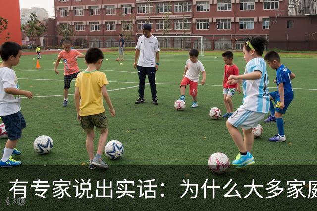 有专家说出实话：为什么大多家庭后悔买新能源汽车？原因很现实