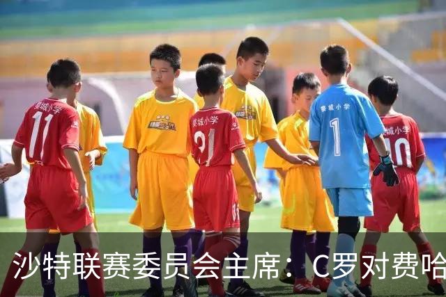 沙特联赛委员会主席：C罗对费哈的进球等待最终裁定