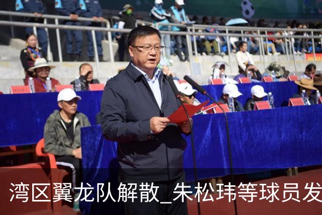 湾区翼龙队解散 朱松玮等球员发布声明维权