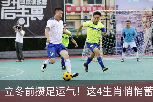 立冬前攒足运气！这4生肖悄悄蓄力，明年日子红火，有你家吗？