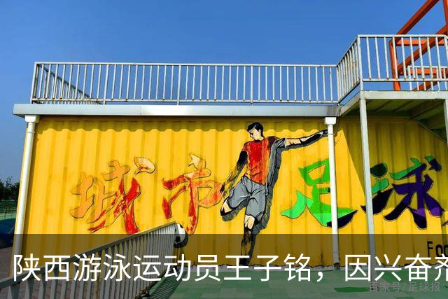 陕西游泳运动员王子铭，因兴奋剂违规被禁赛2年，教练员罗男被警告