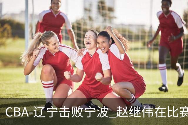 CBA-辽宁击败宁波 赵继伟在比赛中
